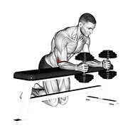 ท่า Dumbbell Over Bench Neutral Wrist Curl