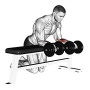 ท่า Dumbbell Over Bench Revers Wrist Curl