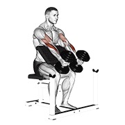 ท่า Dumbbell Peacher Hammer Curl