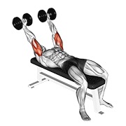 ท่า Dumbbell Pronate-grip Triceps Extension