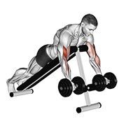 ท่า Dumbbell Prone Incline Curl
