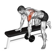 ท่า Dumbbell Rear Delt Row_shoulder