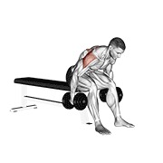 ท่า Dumbbell Rear Fly