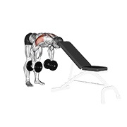 ท่า Dumbbell Rear Lateral Raise (support Head)