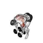 ท่า Dumbbell Rear Lateral Raise