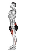 ท่า Dumbbell Rear Lunge