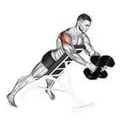 ท่า Dumbbell Reverse Fly