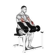 ท่า Dumbbell Reverse Preacher Curl