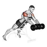 ท่า Dumbbell Rotation Reverse Fly