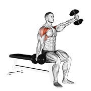 ท่า Dumbbell Seated Alternate Front Raise