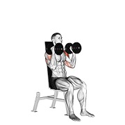 ท่า Dumbbell Seated Alternate Press