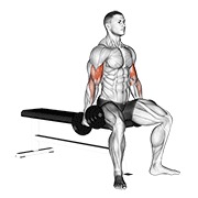 ท่า Dumbbell Seated Curl