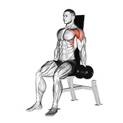 ท่า Dumbbell Seated Front Raise