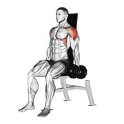 ท่า Dumbbell Seated Lateral Raise V. 2