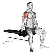 ท่า Dumbbell Seated Lateral Raise