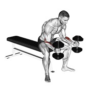 ท่า Dumbbell Seated Neutral Wrist Curl