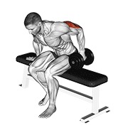 ท่า Dumbbell Seated One Arm Kickback