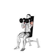 ท่า Dumbbell Seated Shoulder Press (parallel Grip)