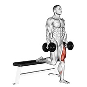 ท่า Dumbbell Single Leg Split Squat