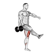 ท่า Dumbbell Single Leg Squat