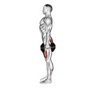 ท่า Dumbbell Squat