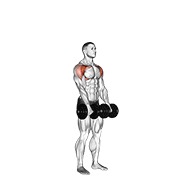 ท่า Dumbbell Standing Front Raise Above Head