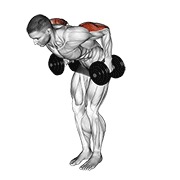 ท่า Dumbbell Standing Kickback