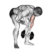 ท่า Dumbbell Standing One Arm Concentration Curl