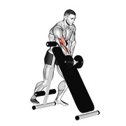 ท่า Dumbbell Standing One Arm Curl (over Incline Bench)