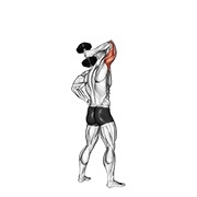ท่า Dumbbell Standing One Arm Extension