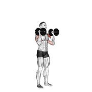 ท่า Dumbbell Standing Palms In Press