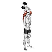 ท่า Dumbbell Standing Triceps Extension