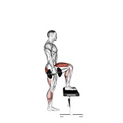 ท่า Dumbbell Step-up