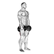 ท่า Dumbbell Stiff Leg Deadlift