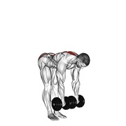 ท่า Dumbbell Straight Leg Deadlift