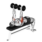 ท่า Dumbbell Tate Press