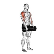ท่า Dumbbell Upright Row