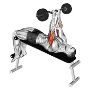 ท่า Ez Barbell Decline Close Grip Face Press