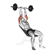 ท่า Ez Barbell Incline Triceps Extension