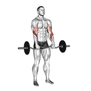 ท่า Ez Barbell Reverse Grip Curl