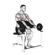 ท่า Ez Barbell Reverse Grip Preacher Curl