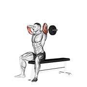 ท่า Ez Barbell Seated Triceps Extension