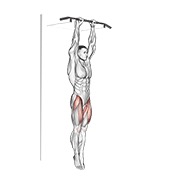 ท่า Hanging Straight Leg Raise