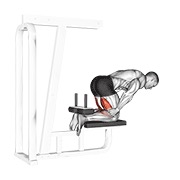 ท่า Inverse Leg Curl (bench Support)