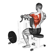 ท่า Lever Alternating Narrow Grip Seated Row