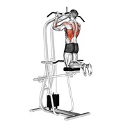 ท่า Lever Assisted Chin-up