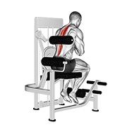 ท่า Lever Back Extension