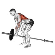 ท่า Lever Bent Over Row