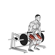 ท่า Lever Deadlift