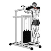ท่า Lever Gripless Shrug